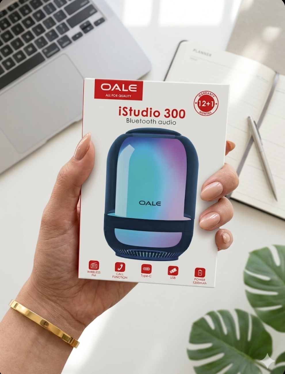 اسپیکر بلوتوثی پرتابل OALE مدل iStudio 300